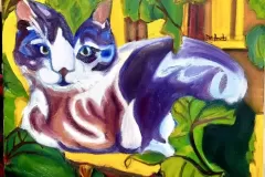 Cats Cradle