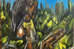 Western Frontier