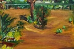 Valley of the Yuccas